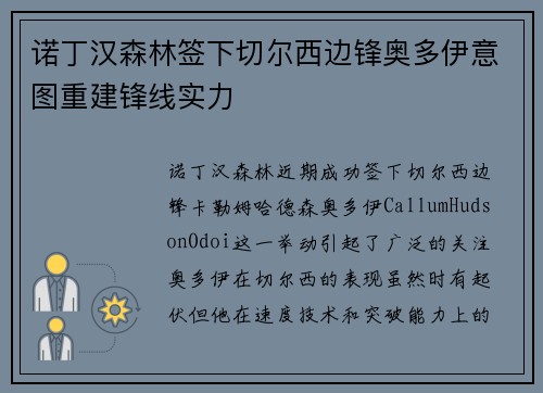 诺丁汉森林签下切尔西边锋奥多伊意图重建锋线实力
